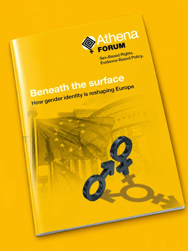Glossy brochure of Beneath the surface: How gender identity is reshaping Europe
